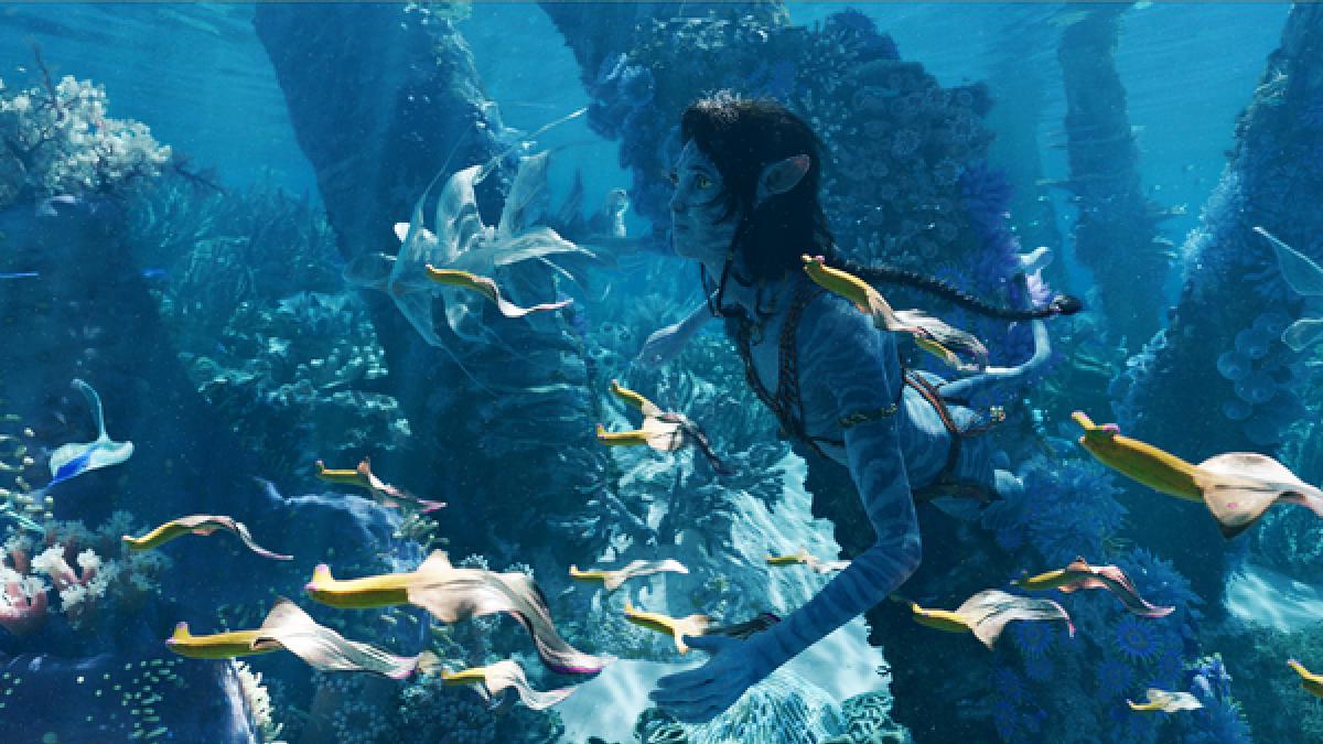 Avatar: A splash hit for awards season